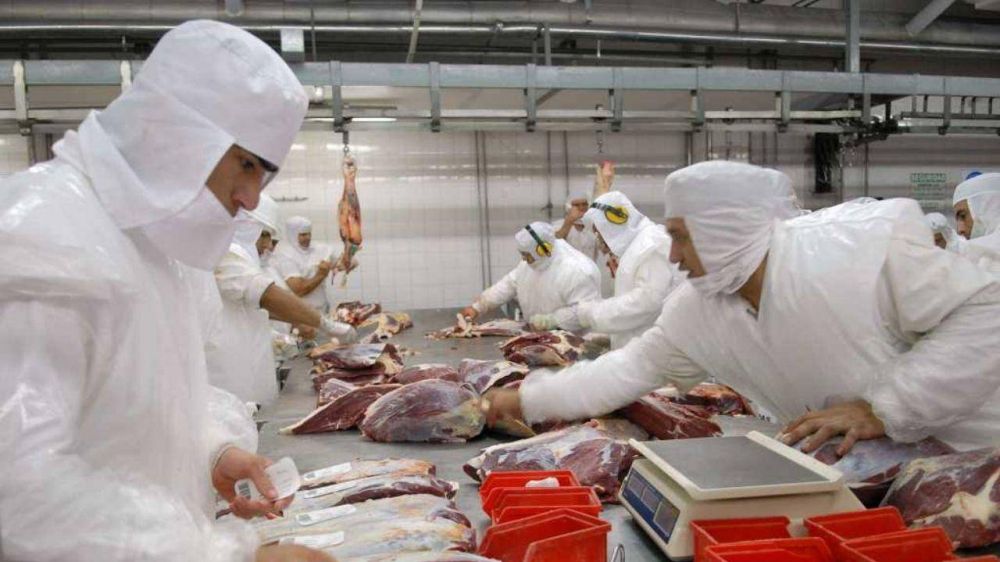 Se prev retomar las exportaciones de carne vacuna con nuevo esquema