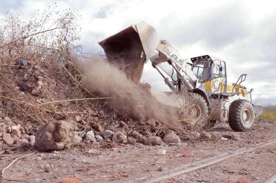 Palpal�: mega operativo de limpieza para la erradicaci�n de macrobasural 