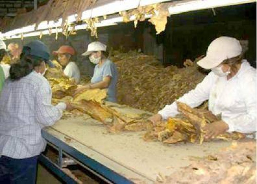 La UITA lanza acciones urgentes en favor de trabajadores del tabaco