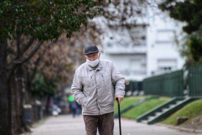 Coronavirus en Argentina: 24.023 casos y 542 muertos en las �ltimas 24 horas