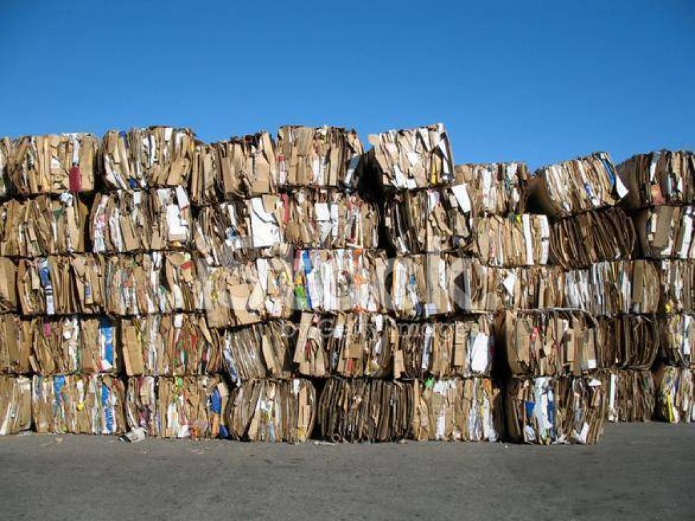 Ms de 10 toneladas de cartn reciclable fueron vendidas a Buenos Aires
