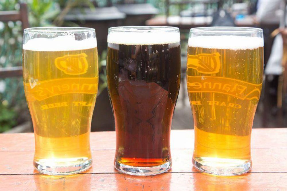 Venta de cervezas a pblico crece en 2020, con fuerte impulso de categoras sin alcohol