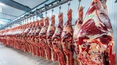 Paritarias, bonos, carne 