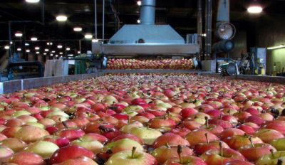 El Gobierno nacional redujo a cero las retenciones a exportaciones agroindustriales de econom�as regionales