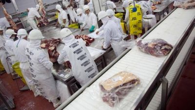 Carne: el Gobierno analiza eliminar restricciones para exportar vaca