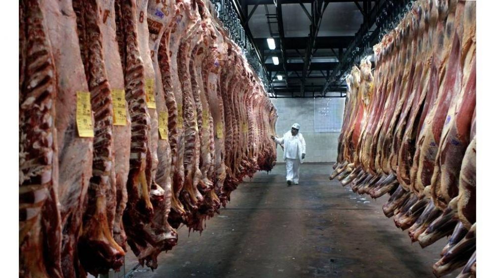 Carne: el cierre de exportaciones peg de lleno en la faena de vacas