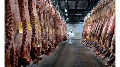 Carne: el cierre de exportaciones pegó de lleno en la faena de vacas