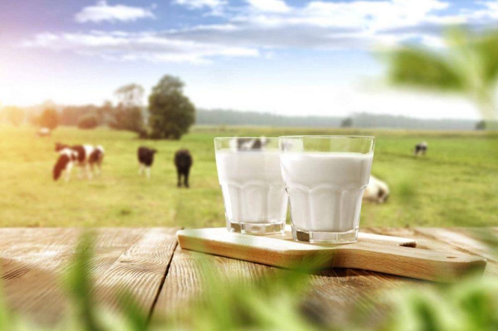 Coca Cola Israel anuncia inversin en la startup Biomilk
