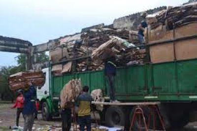 Aumentaron las toneladas de cartones destinados al reciclaje