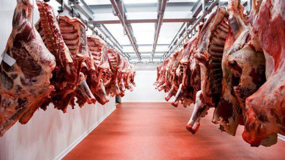 Carne: Gobierno lanza crditos por $10.000 millones para incentivar produccin