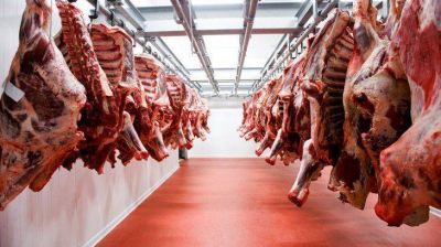 Carne: Gobierno lanza créditos por $10.000 millones para incentivar producción