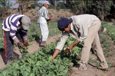 Aumenta el salario b�sico del pe�n de campo