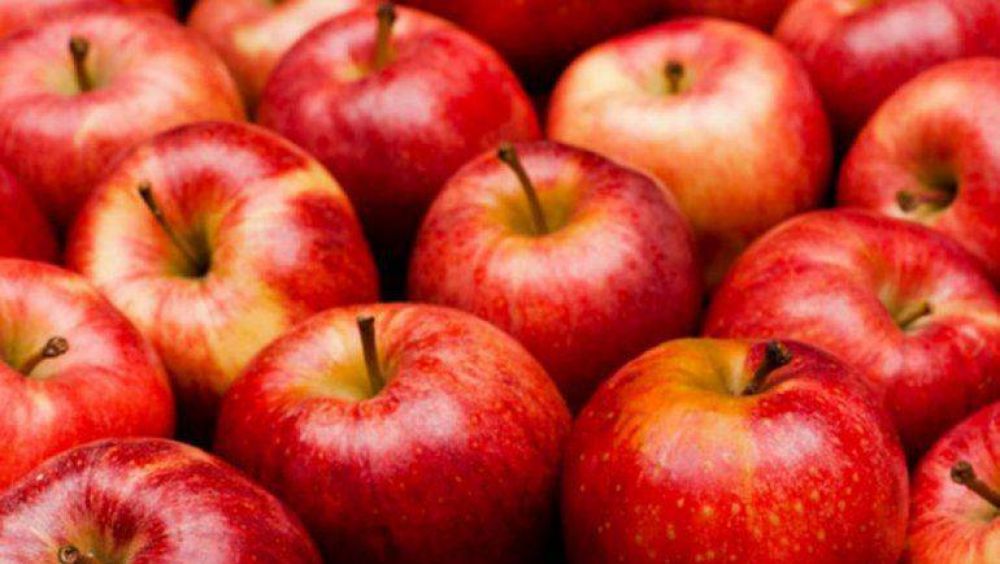 Acuerdo de precios mayoristas entre la Nación, Río Negro y productores de manzanas