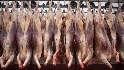 El Consejo Agroindustrial Argentino reitera el rechazo a las medidas contra las exportaciones de carne bovina