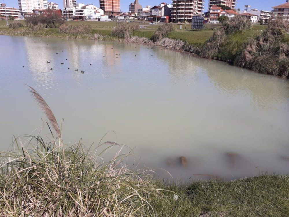 OSSE descart contaminacin en la Laguna de Mogotes: archivaron el expediente