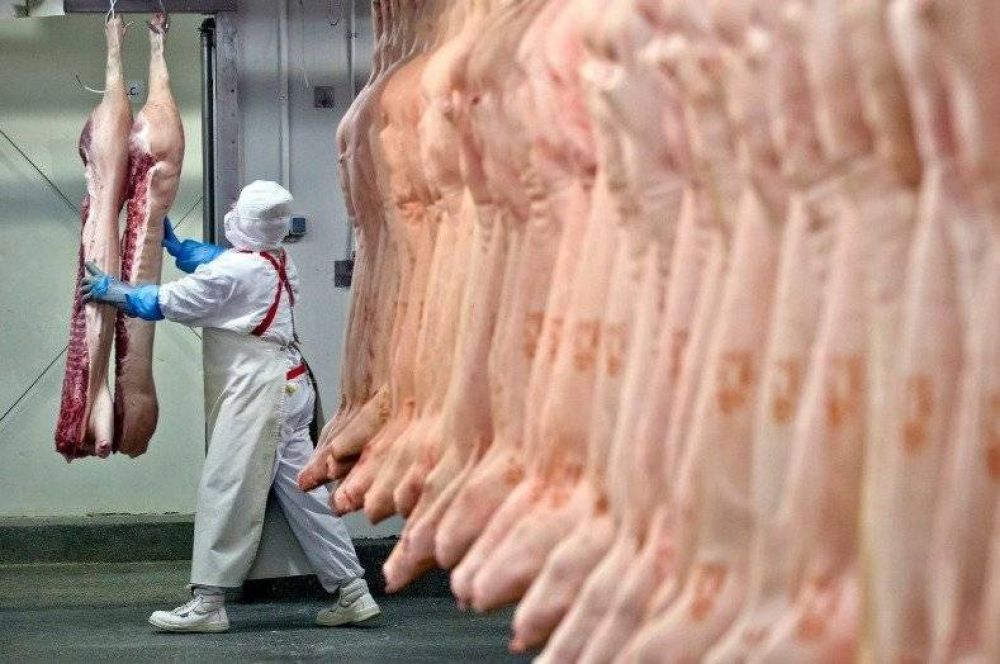 Trabajadores de la carne revisaron sus paritarias y alcanzaron una recomposicin salarial del 45% con las cmaras frigorficas de Carne Roja