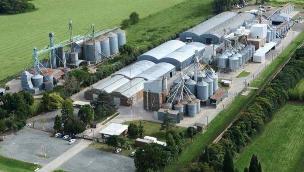 Exigen el procesamiento de directivos de una empresa agropecuaria por explotaci�n