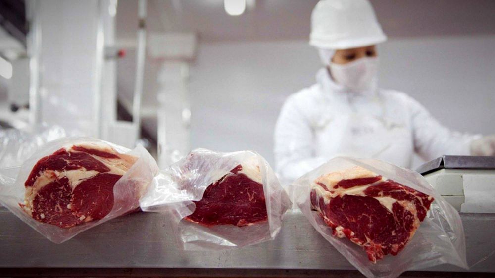 Cae la entrada de dlares por el cepo a la carne: qu pasar con el recorte a las exportaciones?