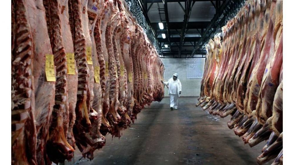 Exportaciones de carne: fijan precios de referencia para evitar la subfacturacin en ocho cortes