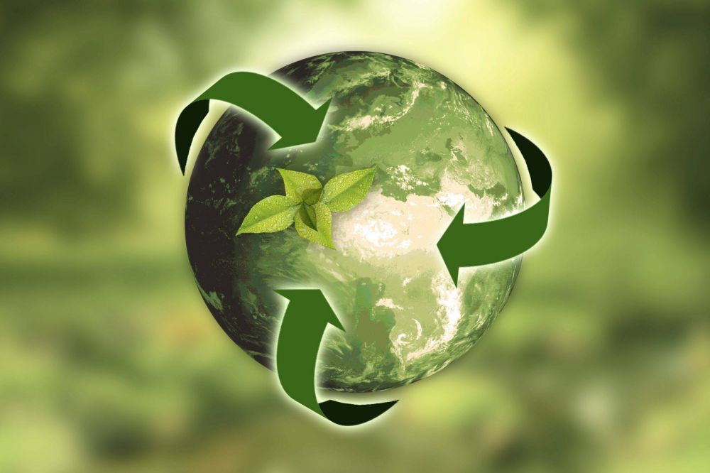 Sostenibilidad: Economa circular: el nuevo foco de los negocios