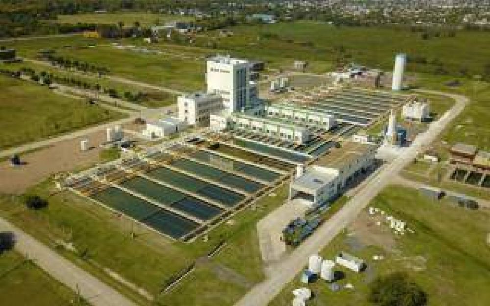 Algas en el Ro de la Plata: ABSA baja la produccin de agua en la Planta Potabilizadora en Punta Lara