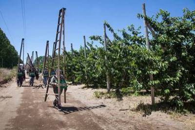El RENATRE convoc� a los gobiernos provinciales para que se adhieran al Decreto que promueve la compatibilizaci�n de planes sociales con el trabajo rural registrado