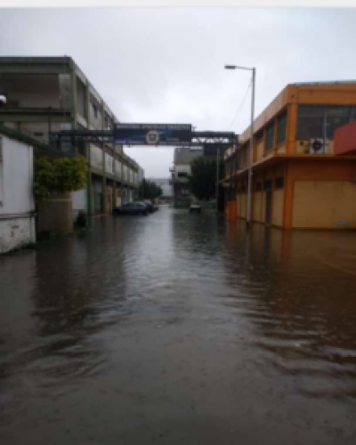 Graciela Francisconi: “Las barriadas en Avellaneda son grandes lagunas y Chornobroff no hace nada”