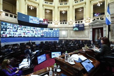 Rev�s en el Senado: el oficialismo podr�a perder el qu�rum propio