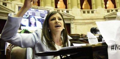 La diputada Fernanda Vallejos llam� 