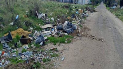 Mirador de Peralta Ramos, un barrio repleto de basura