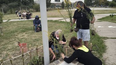 Semana del �rbol en Mor�n: Invitan a plantar �rboles en Plaza Goria