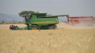 PepsiCo, Trimex y CIMMYT promoveran agricultura sustentable de trigo