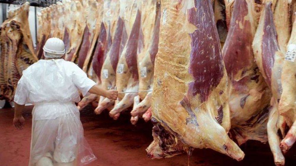 Exportacin de carne a China: detalles del acuerdo con la Mesa de Enlace y los pasos que siguen