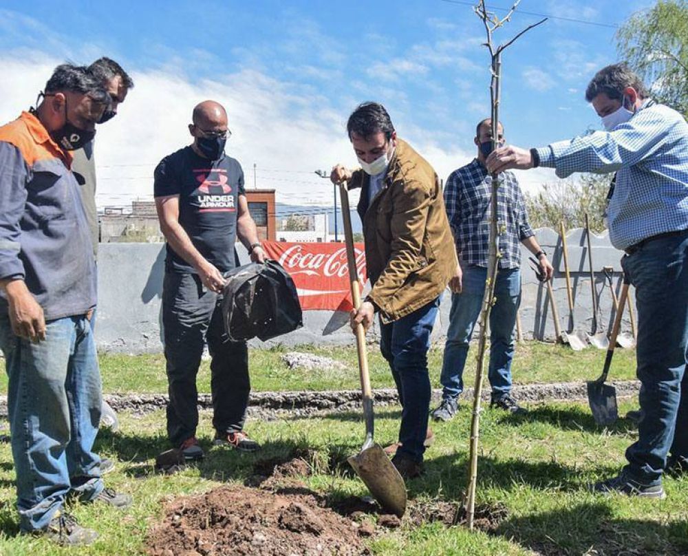 Se plantaron 20 árboles tras una jornada de sensibilización ambiental