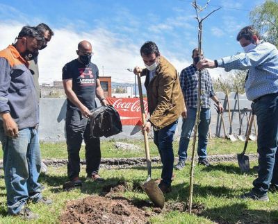 Se plantaron 20 árboles tras una jornada de sensibilización ambiental