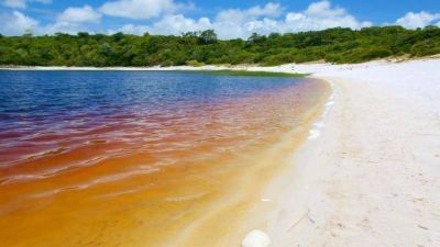 El sorprendente lago que parece hecho con Coca Cola: un fenmeno turstico en Brasil