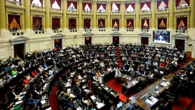 Entre la campa�a y la negativa de Juntos por el Cambio, peligra el qu�rum en Diputados para aprobar la ley de etiquetado