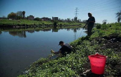 Calidad ambiental: comenz� el monitoreo de macro y microinvertebrados en la Cuenca Matanza Riachuelo