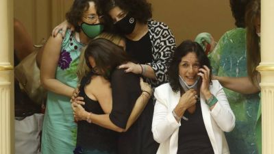 La reacci�n de Vilma Ibarra contra Manzur, la clave del arribo de Cerruti al gabinete