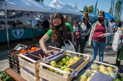 La peque�a producci�n, una apuesta que falta
