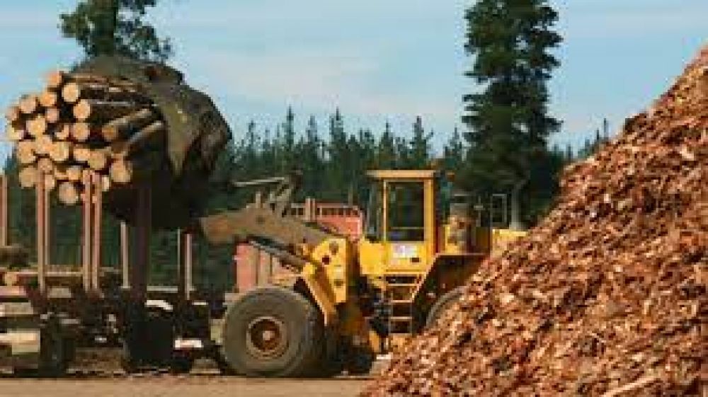 La forestoindustria en Misiones super los 10 mil trabajadores activos y registr un crecimiento del 4,9% en el ltimo ao