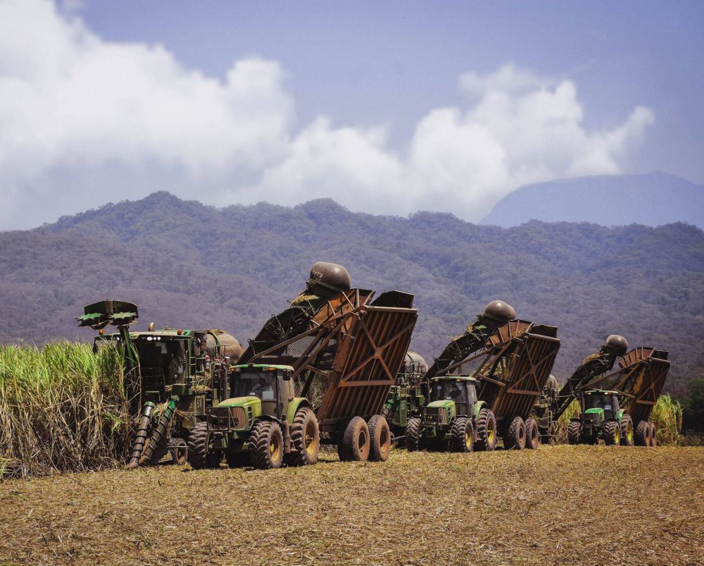 Jujuy se posiciona como la principal provincia exportadora de azcar y ctricos