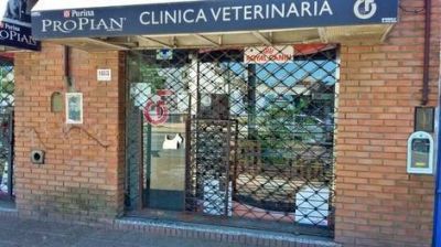 Veterinarias con persianas bajas en repudio a la violencia contra un profesional