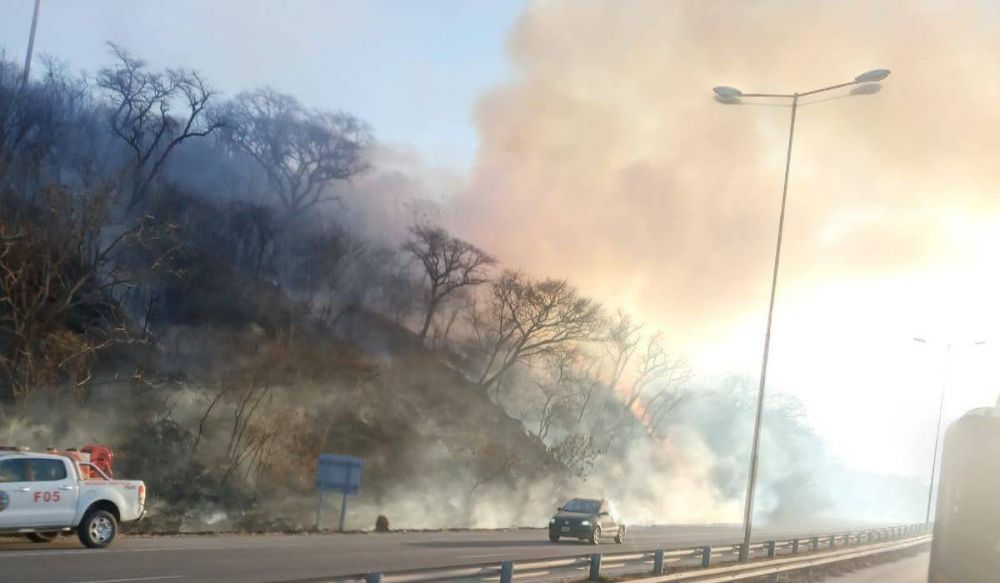 El fuego de los incendios ya arras ms de 4.000 hectreas en Jujuy