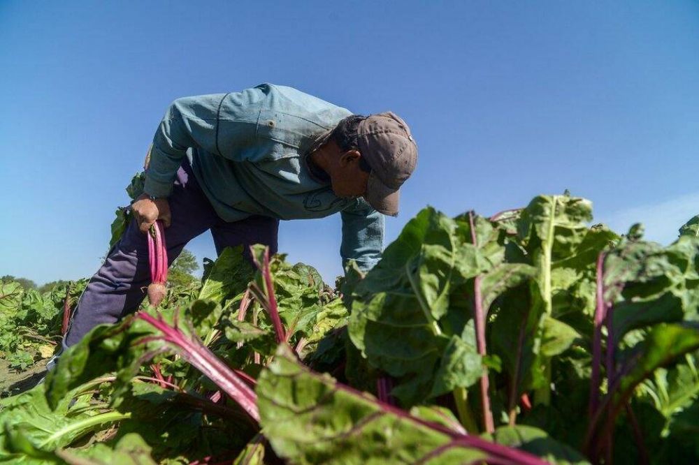 Un rgimen que protege a la agricultura familiar