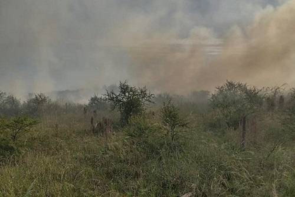 Concordia: Más de 5 hectáreas de monte nativo quemadas tras un incendio