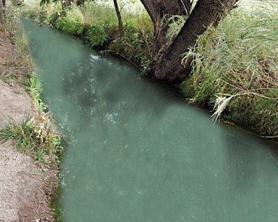 Estudiarán el agua del río Chubut y de los canales de riego para la prevención de enfermedades transmitidas por alimentos