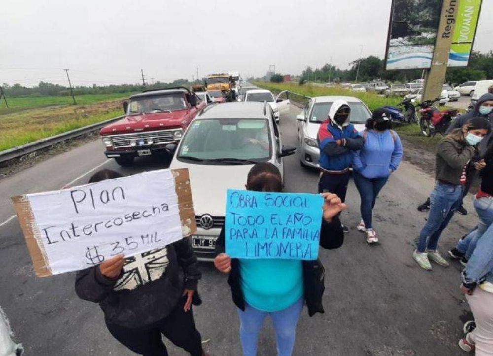Protestas de limoneros autoconvocados en Tucumn: exigen a Jaldo un subsidio de 35 mil pesos