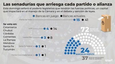 Distrito por distrito, qu� se elige este domingo para el Senado