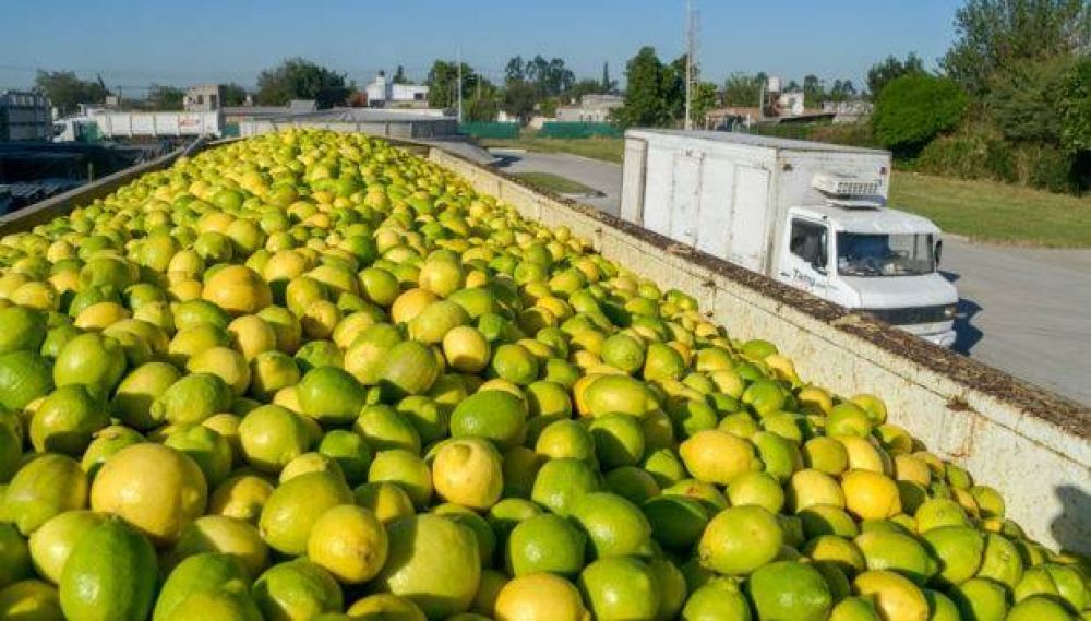 Tucumn: el reclamo del STIA moviliz a los trabajadores limoneros